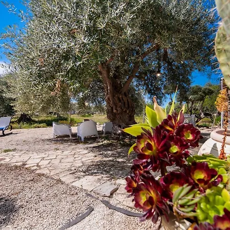 Il Carrubo Val Di Noto Con Piscina Privata *